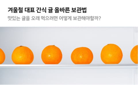 “곰팡이 핀 귤 하나, 나머지는?”…맞닿은 귤도 골라 버려야